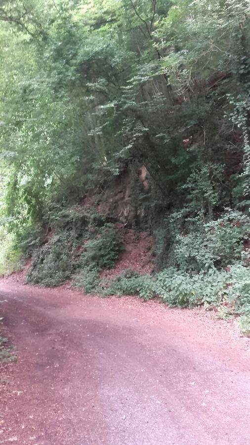 Ferienwohnungen "Am Fuerstenweg" 新维德 外观 照片