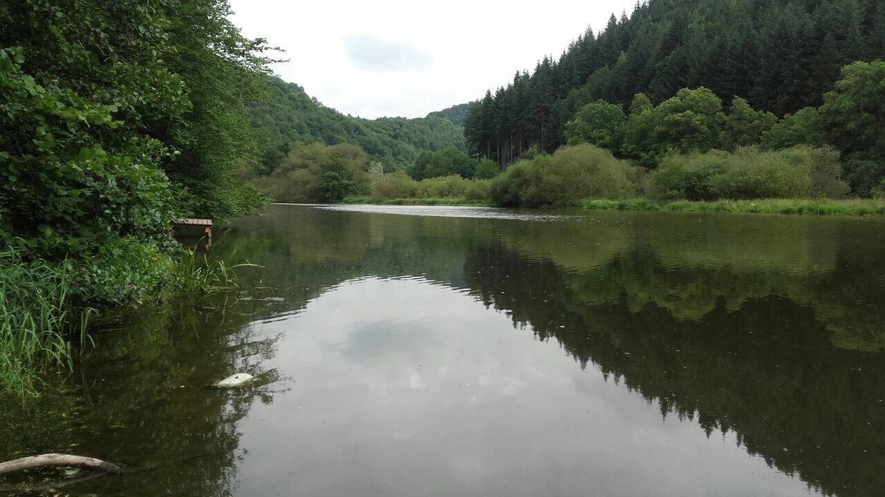 Ferienwohnungen "Am Fuerstenweg" 新维德 外观 照片