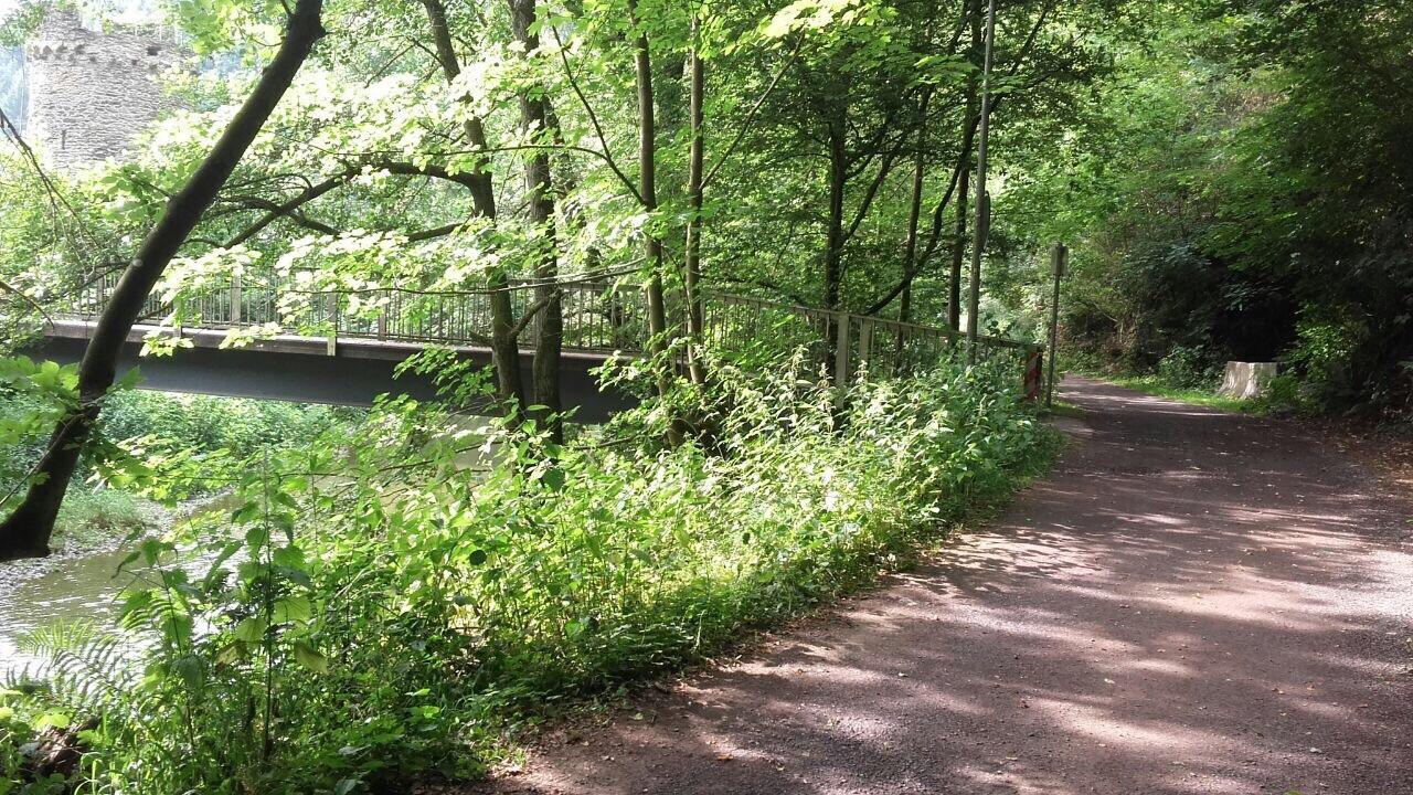 Ferienwohnungen "Am Fuerstenweg" 新维德 外观 照片