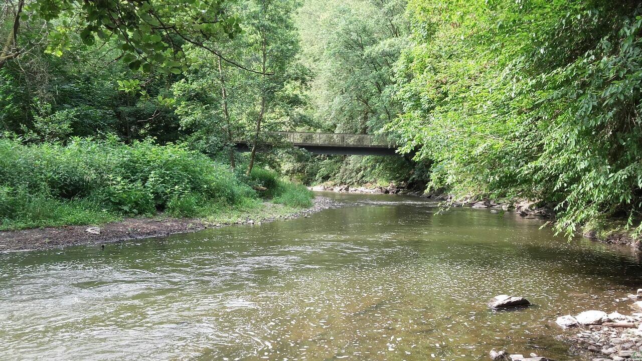 Ferienwohnungen "Am Fuerstenweg" 新维德 外观 照片
